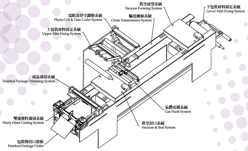 食品真空包裝 - 全自動泡殼成型真空包裝機